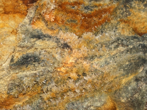 Foto: Alexandru Mureșan